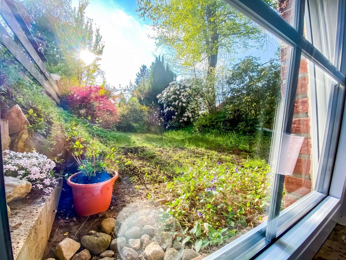 Ferienwohnung Im Sachsenwald Dassendorf Exterior photo